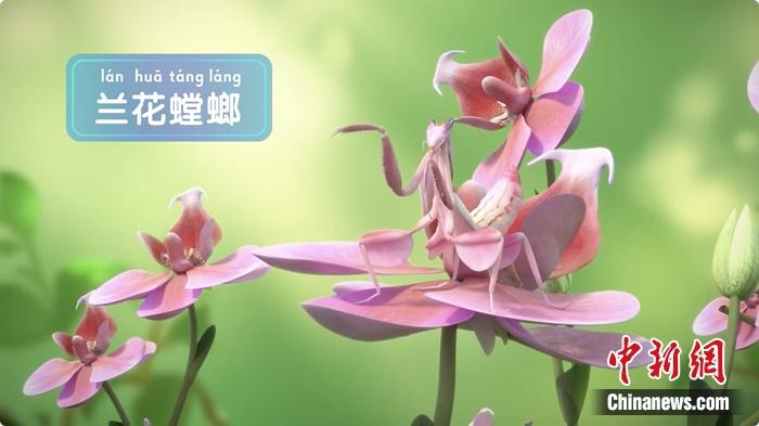 裸眼3D效果圖。供圖