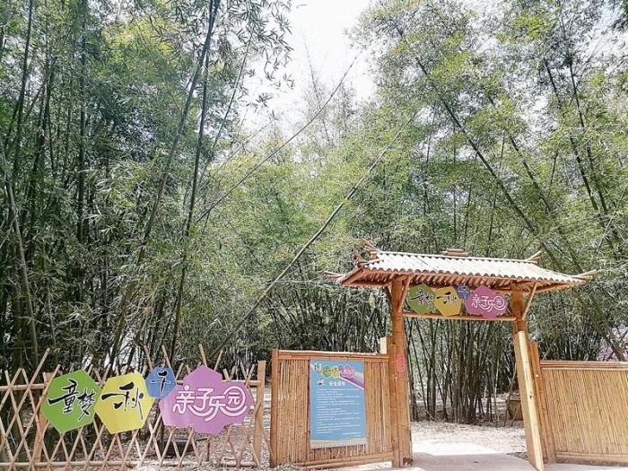 九渡村以荷、竹為重心，發(fā)展鄉(xiāng)村特色旅游。圖片來源：臺灣《聯(lián)合報》