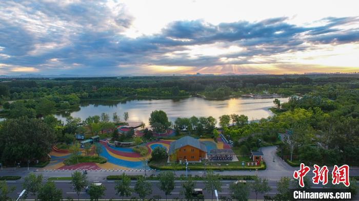 圖為東郊森林公園?！⊥ㄖ輩^(qū)創(chuàng)森辦供圖