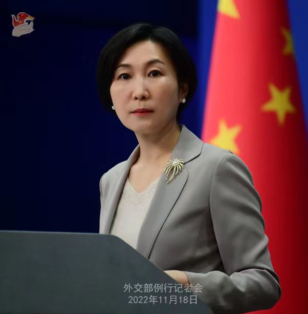 外交部發(fā)言人毛寧。薛偉 攝