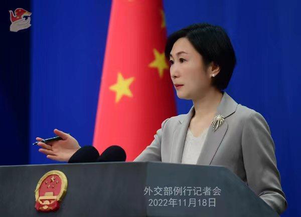 外交部發(fā)言人毛寧。薛偉 攝