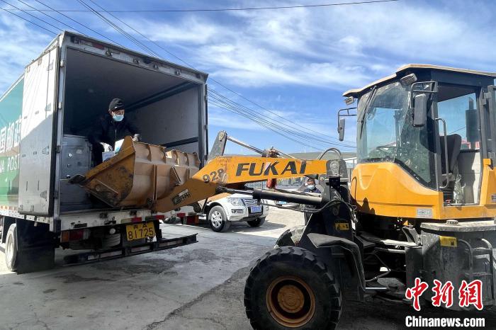 圖為乃索麻村精裝羊肉物流車裝車?！偛炜h委組織部供圖