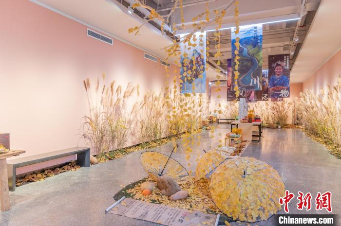 圖為大展“風(fēng)物：詩(shī)與視”貴州風(fēng)物展展廳?！√普?攝