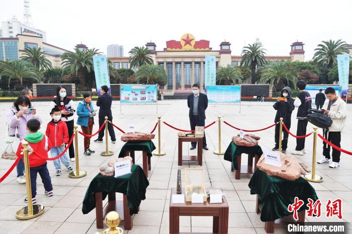 圖為2022年度江西省古生物化石保護利用科普宣傳活動南昌分會場展出的一些古生物化石吸引不少市民觀看?！⒘?攝