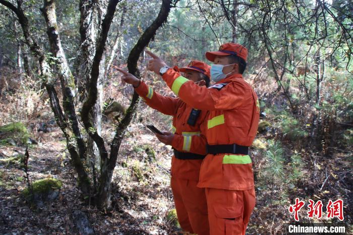 森林消防員在林間勘察?！⊥鯘蓷?攝