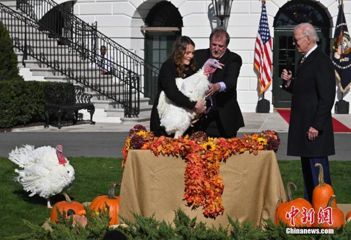 當(dāng)?shù)貢r間11月21日，美國總統(tǒng)拜登在白宮“赦免”兩只2022年感恩節(jié)幸運(yùn)火雞“巧克力”和“薯片”。 <a target='_blank' href='/'>中新社</a>記者 陳孟統(tǒng) 攝