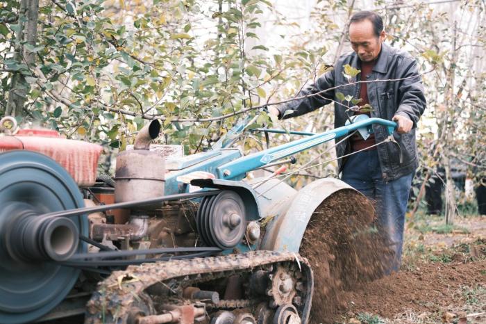 村民李育宏在蘋果園里用開溝機開溝。人民網(wǎng)記者 吳超攝