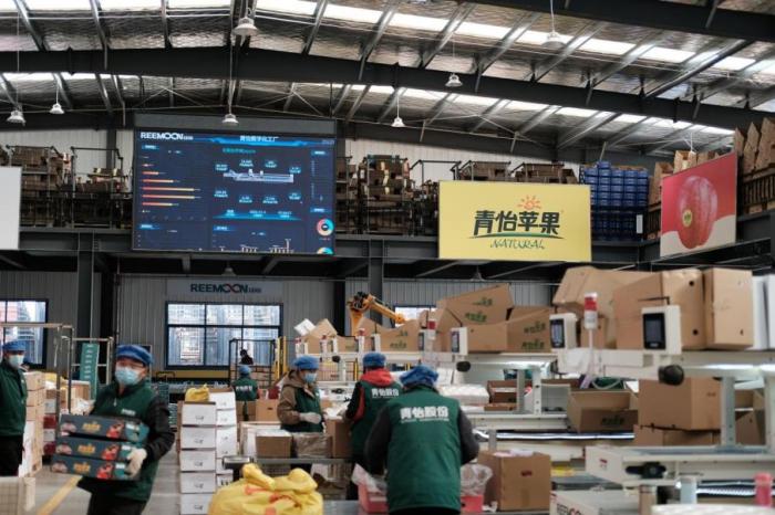 青怡公司數(shù)字化分揀車間。人民網(wǎng)記者 吳超攝