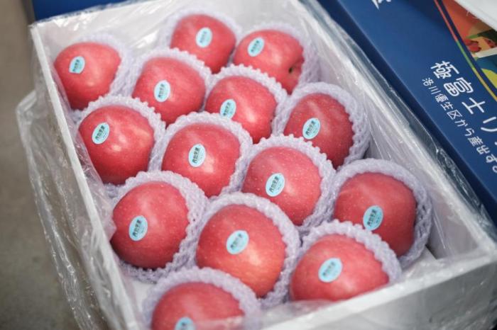 等待銷售的洛川蘋果。人民網(wǎng)記者 吳超攝