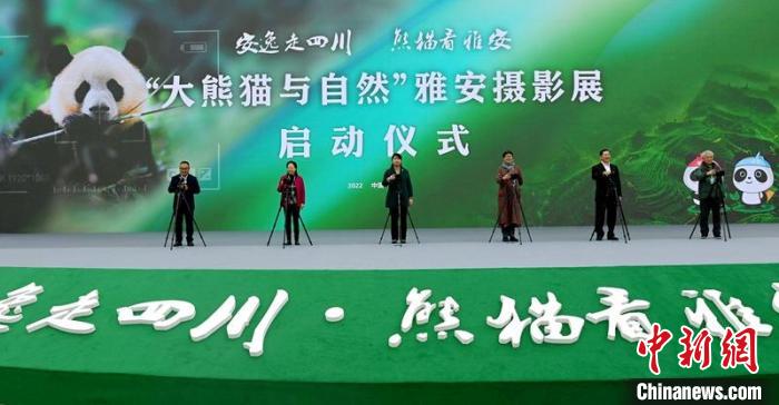 “大熊貓與自然”雅安攝影展啟動(dòng)儀式現(xiàn)場(chǎng)?！⒅铱?攝