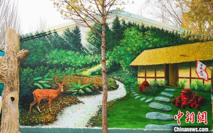 繪制好的鄉(xiāng)村墻繪?！幭奈穆脧d供圖