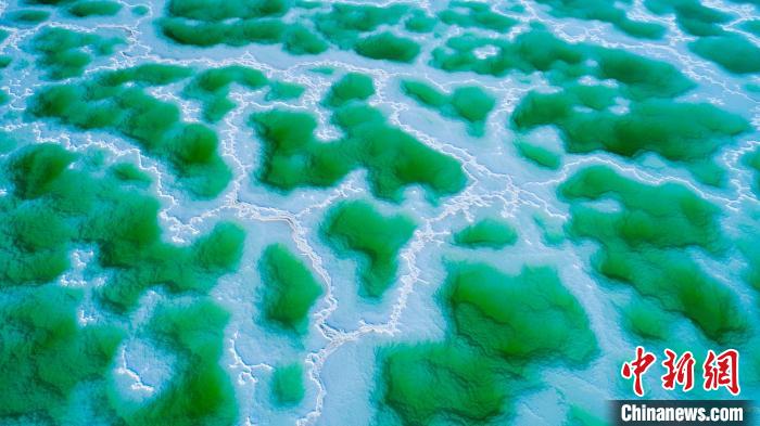 圖為楊金花攝影作品《鳥瞰翡翠湖》。　祁連山國(guó)家公園青海省管理局供圖