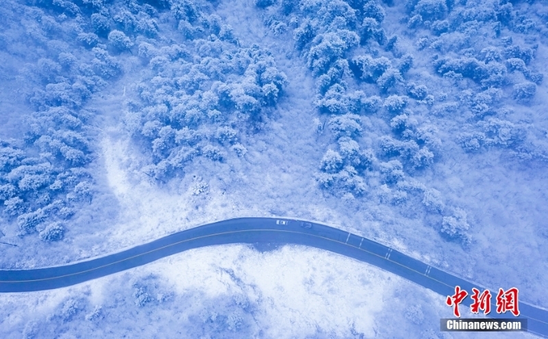 霧凇現(xiàn)身！四川臥龍自然保護(hù)區(qū)銀裝素裹