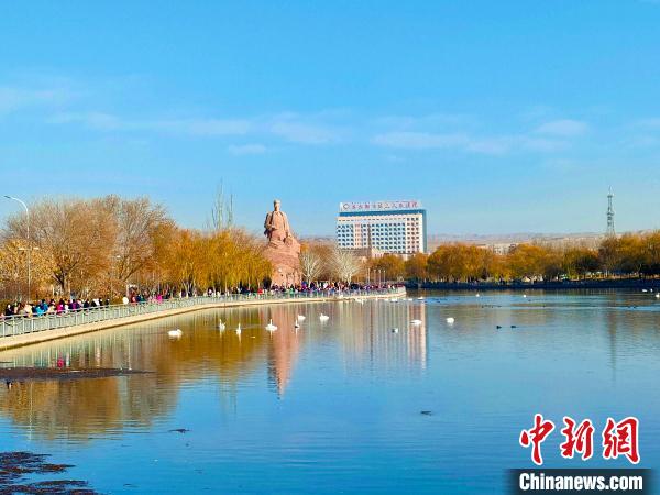 新疆庫爾勒杜鵑河上天鵝成群，吸引了不少市民駐足欣賞、拍照?！强?攝