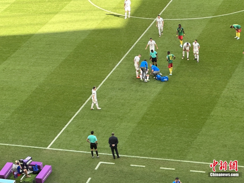 馬寧(左)與斯托伊科維奇站在場邊。<a target='_blank' href='/' >中新網(wǎng)</a>記者 卞立群 攝