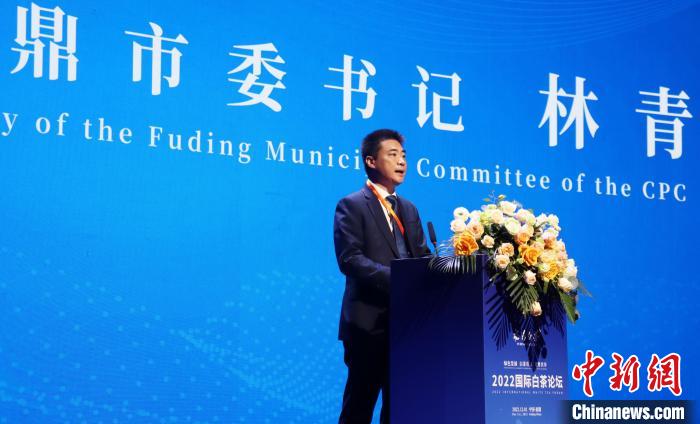 福鼎市委書記林青致辭?！×珠派?攝