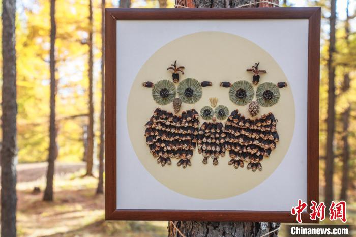 圖為付麗紅的松果畫作品?！「尔惣t供圖