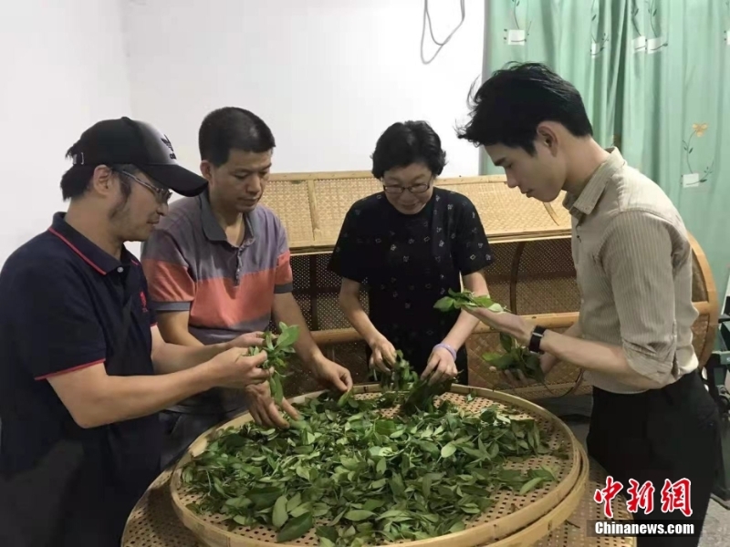 資料圖為臺(tái)灣制茶師左如玉（右二）在福建漳平教學(xué)生制茶。 <a target='_blank' href='/'>中新社</a>發(fā) 受訪者供圖