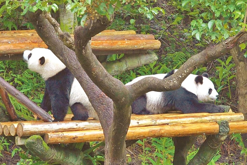 B08A00_P_03_02 B08A00_P_03_02