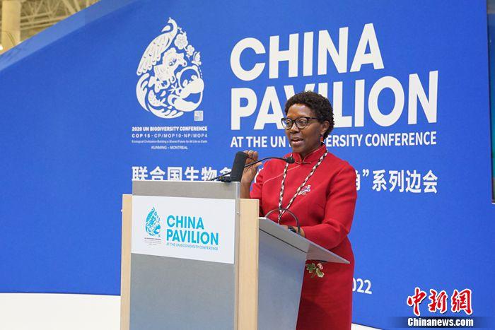 聯(lián)合國《生物多樣性》秘書處執(zhí)行秘書伊麗莎白·穆雷瑪在邊會(huì)致辭。尹靈 攝