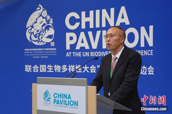 中共貴州省從江省委書記周崇軍在邊會案例分享上發(fā)言。 尹靈 攝