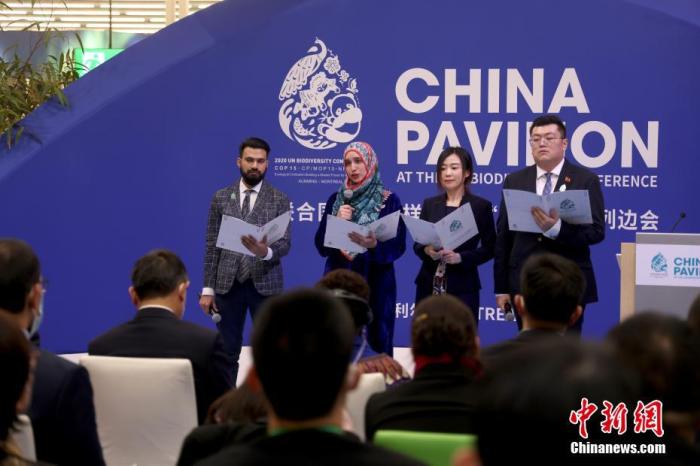 當(dāng)?shù)貢r(shí)間12月11日，在加拿大蒙特利爾舉行的《生物多樣性公約》第十五次締約方大會(huì)(COP15)第二階段會(huì)議會(huì)場內(nèi)，來自中國、巴基斯坦、英國等國家有關(guān)機(jī)構(gòu)和學(xué)校的4名青年代表共同發(fā)布《全球生物多樣性保護(hù)青年倡議》。 <a target='_blank' href='/'>中新社</a>記者 余瑞冬 攝