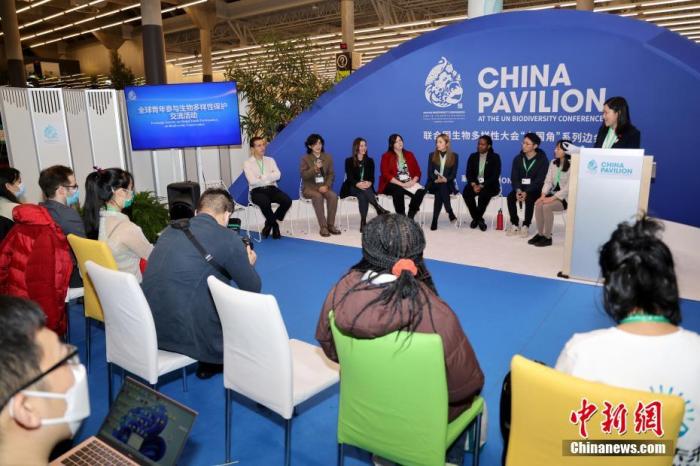 當(dāng)?shù)貢r(shí)間12月11日，在加拿大蒙特利爾舉行的《生物多樣性公約》第十五次締約方大會(huì)(COP15)第二階段會(huì)議會(huì)場內(nèi)，多國青年代表等圍繞生物多樣性保護(hù)話題進(jìn)行交流與討論。 <a target='_blank' href='/'>中新社</a>記者 余瑞冬 攝
