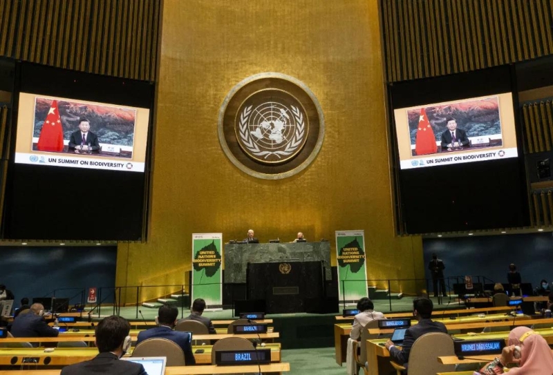 2020年9月30日，國家主席習(xí)近平在聯(lián)合國生物多樣性峰會(huì)上通過視頻發(fā)表重要講話。新華社發(fā)