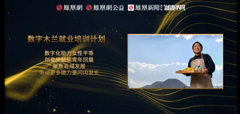 鳳凰網(wǎng)行動(dòng)者聯(lián)盟2022公益盛典揭曉11大公益獎(jiǎng)項(xiàng)，發(fā)布4款數(shù)字公益藏品