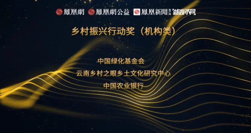 鳳凰網(wǎng)行動(dòng)者聯(lián)盟2022公益盛典揭曉11大公益獎(jiǎng)項(xiàng)，發(fā)布4款數(shù)字公益藏品