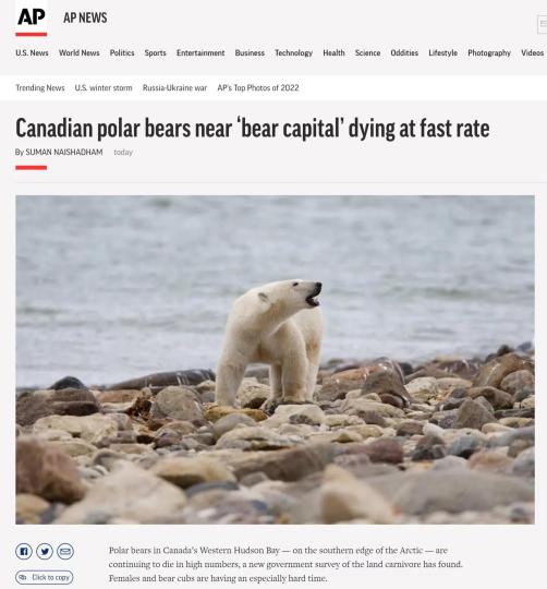 報(bào)道網(wǎng)站截圖 報(bào)道網(wǎng)站截圖