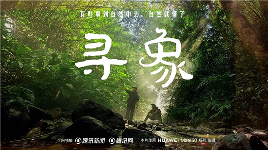 去雨林深處，聽大象長吟，自然紀(jì)錄片《尋象》正式上線！