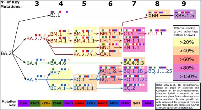 新冠病毒進(jìn)化路線圖。（圖片來源：Rodrigo Quiroga）