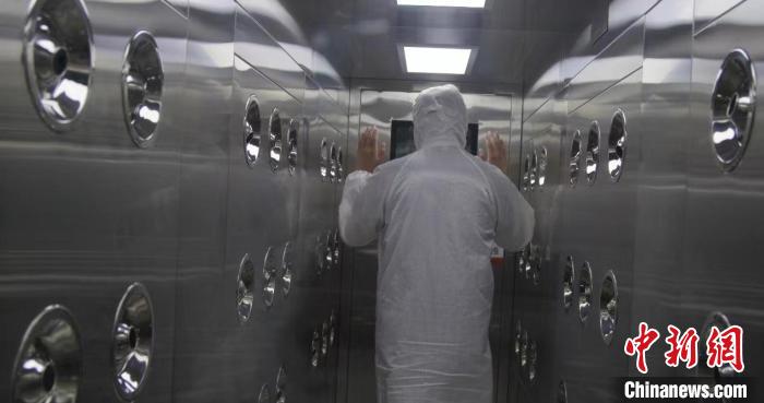 圖為“沙漠蝴蝶蘭”組培中心。　盒馬花園供圖