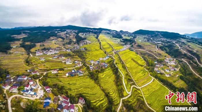 鄉(xiāng)村振興如何“興”？重慶市人大代表頻出“金點(diǎn)子”