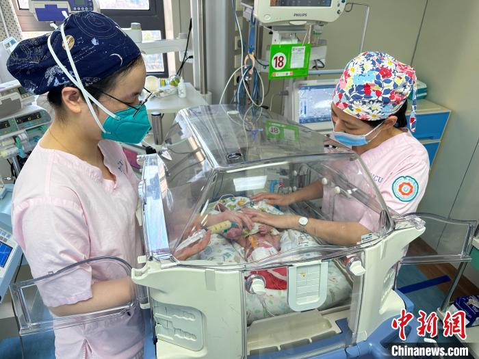 醫(yī)護人員照護新生兒。　朱暉洪 攝