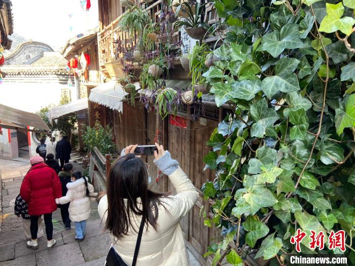 游客拍攝海螺花。　林波 攝