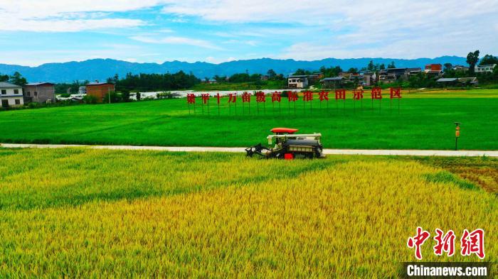 圖為梁平的機(jī)械化作業(yè)?！⑤x 攝
