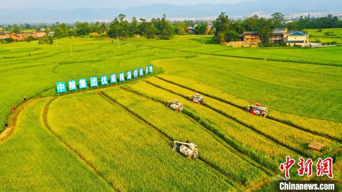 圖為梁平的機(jī)械化作業(yè)。　劉輝 攝