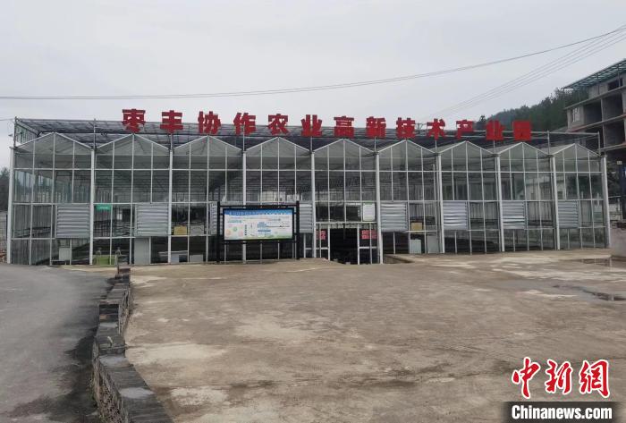 圖為位于豐都縣仙女湖鎮(zhèn)的棗豐協(xié)作農(nóng)業(yè)高新技術(shù)產(chǎn)業(yè)園?！顗粢?攝