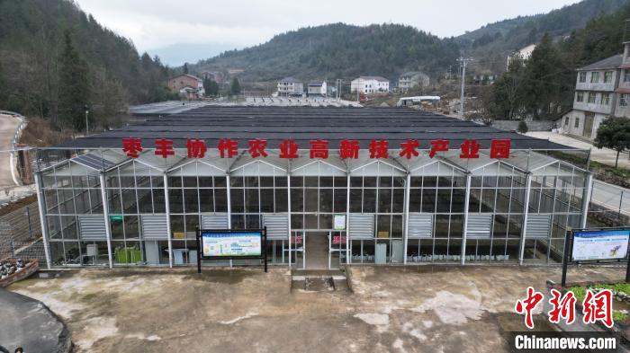 圖為棗豐協(xié)作農(nóng)業(yè)高新技術(shù)產(chǎn)業(yè)園?！≠Z楠 攝