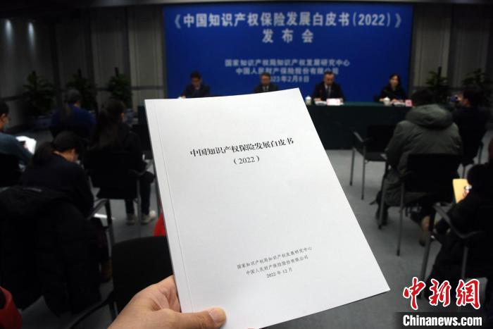 中國首發(fā)知識產權保險發(fā)展白皮書業(yè)界解讀意義與影響