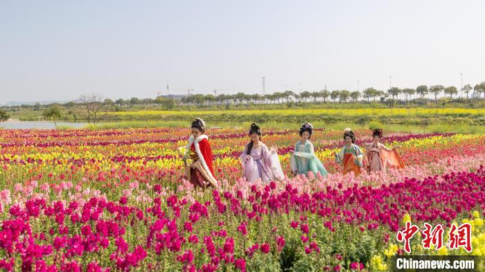 民眾在廣東省東莞市橋頭鎮(zhèn)七彩花田賞花“打卡” 廣東省林業(yè)局 供圖 民眾在廣東省東莞市橋頭鎮(zhèn)七彩花田賞花“打卡” 廣東省林業(yè)局 供圖