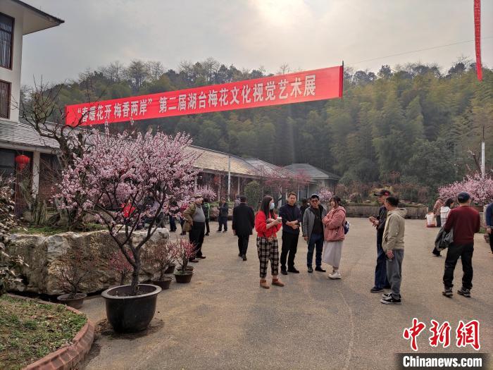 浙江湖州臺(tái)胞臺(tái)屬“細(xì)嗅梅香”:推進(jìn)兩岸梅文化發(fā)展