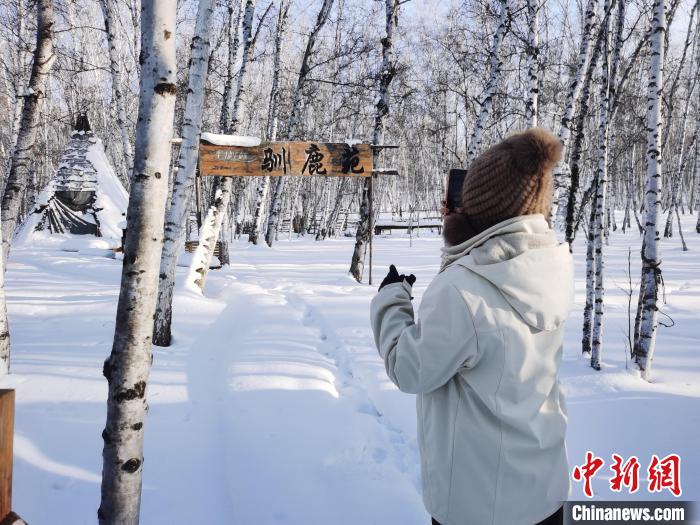 圖為行走在白樺林中的臺(tái)灣學(xué)子?！±類燮?攝