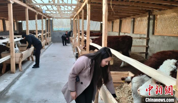 助力鄉(xiāng)村產業(yè)振興天津產業(yè)援疆再結碩果