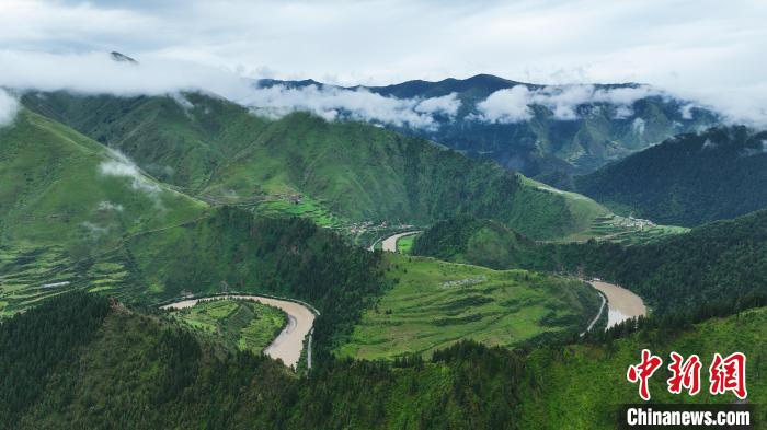 資料圖為果洛州境內(nèi)瑪可河國家森林公園?！●R銘言 攝