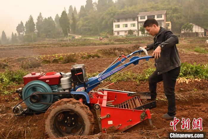 圖為“新農(nóng)人”余勤川在使用新農(nóng)具。　張旭 攝