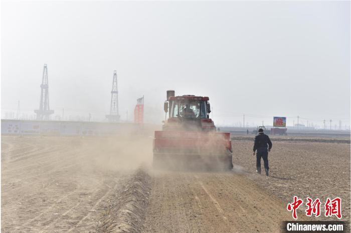 圖為河套灌區(qū)春小麥開播現(xiàn)場?！±铢i 攝