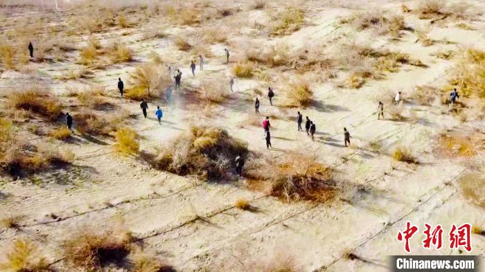 塔克拉瑪干腹地這座天邊小城如何向沙漠要效益？